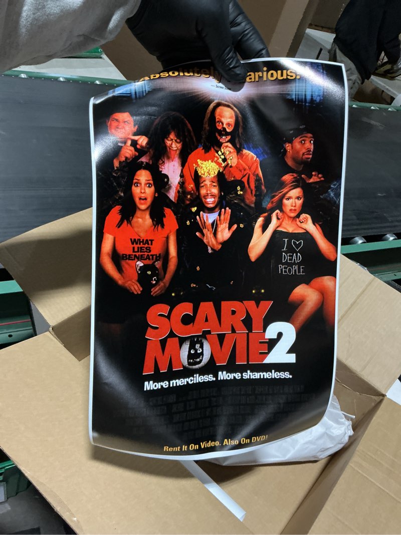 Scary Movie 2 Movie Poster Print (11 x 17)