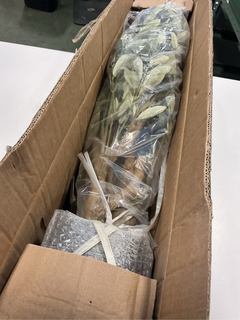 Condition photo showing Good Condition for Bellacat Faux Olive Tree 6ft?Olive Trees Artificial Indoor with Natural Wood Trunk and Realistic Leaves and Fruits. 6 Feet(72in) Fake Olive Tree for Home House Office Décor. 1 6ft