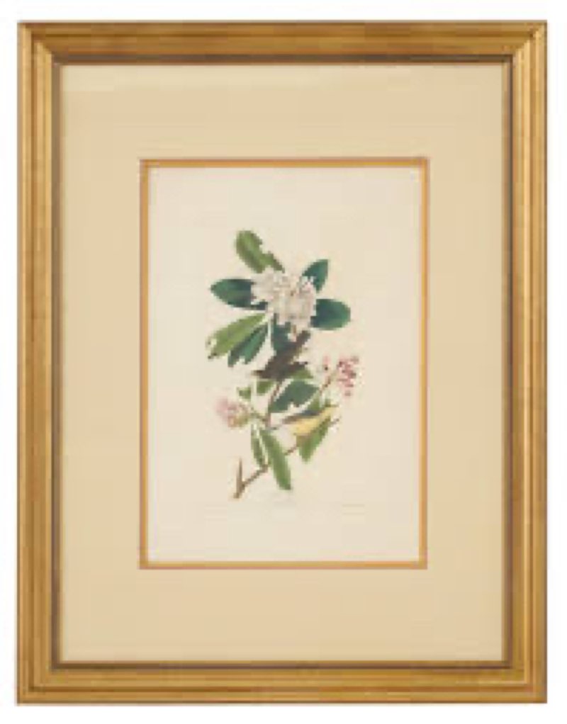 picture frames 2 pack