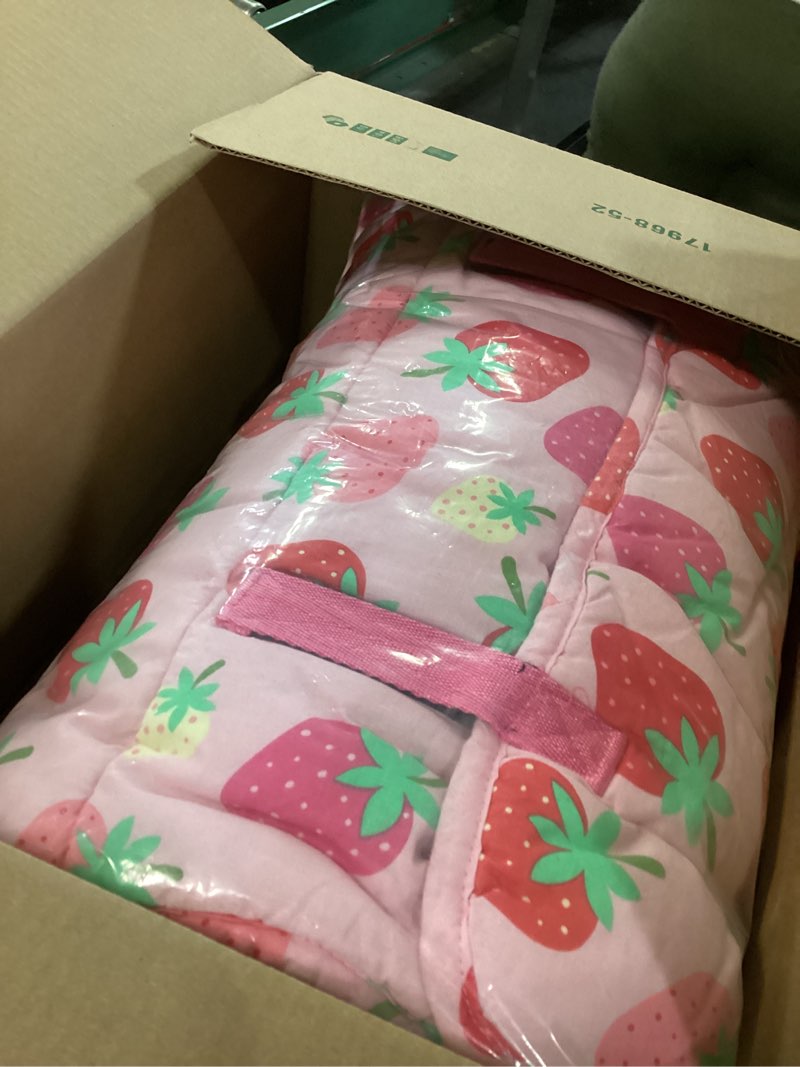 Condition photo showing Good Condition for Wildkin Kids Original Nap Mat – Cozy Kids Sleep Mat with Pillow, ideal for School & Travel Ballerina
