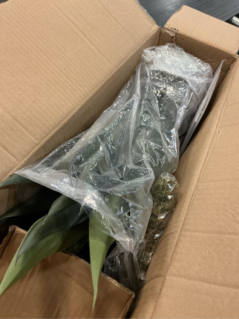 Condition photo showing Good Condition for artificial agave plant 2ft - 24" large fake aloe vera plants indoor with fake grass - fake floor plant for front porch patio home office door step hotel desert style decor 1pcs black pot 24"