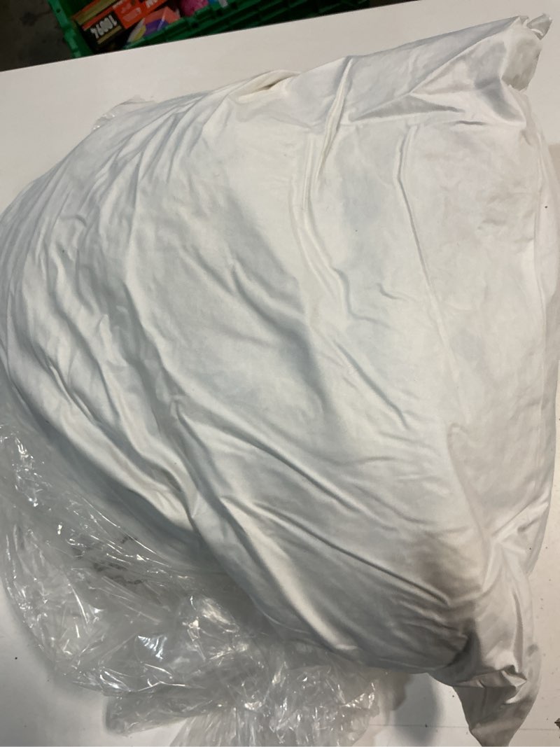 Condition photo showing As Is for quince premium feather pillow insert (set of 1) 20x20, no color