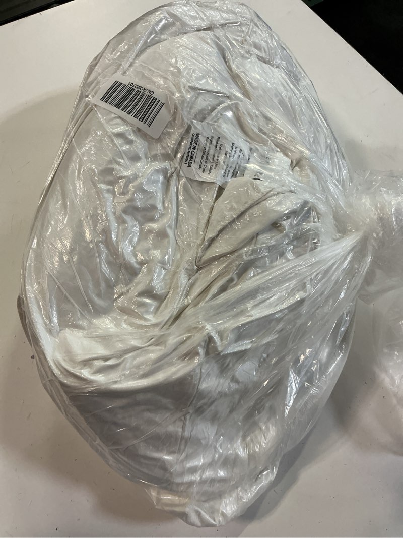 Condition photo showing Good Condition for premium feather pillow insert (set of 2), 22x22, no color
