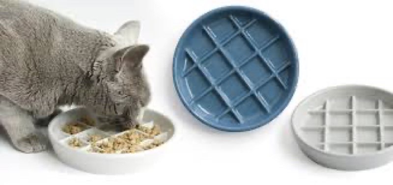 Slow Feeder Cat Bowl Set of 2, Ceramic Slow Feeding Cats Bowl Whisker Friendly, Anti Vomiting Cat Fe