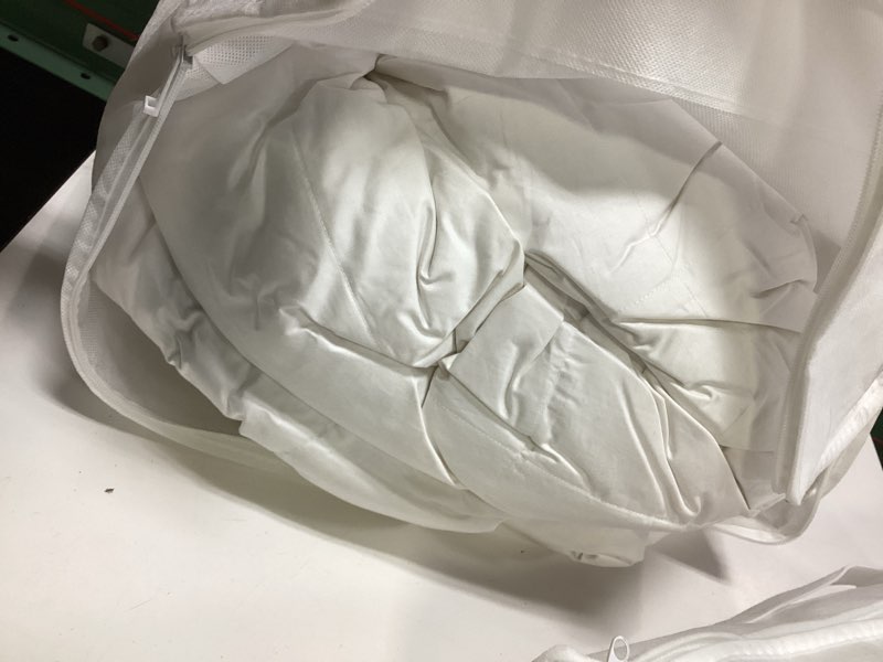 Condition photo showing As Is for quince premium white duck down comforter all season full queen new white 