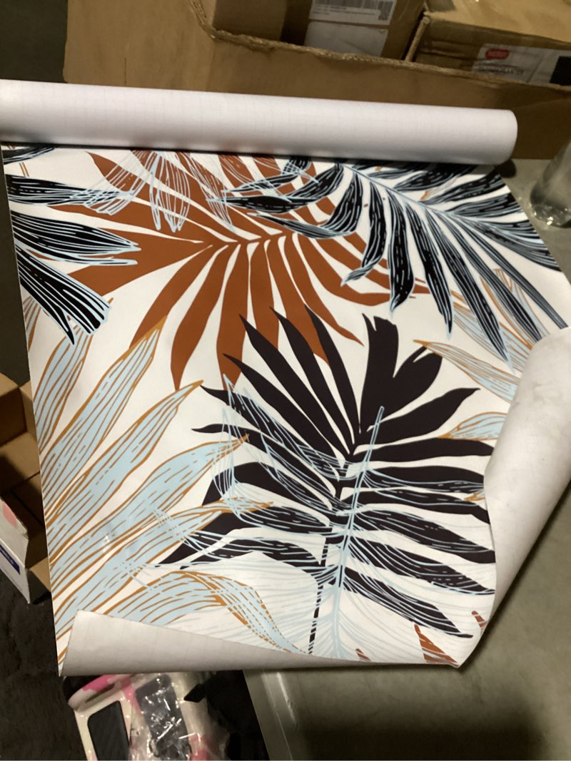 Monstera Deliciosa Peel and stick wallpaper
