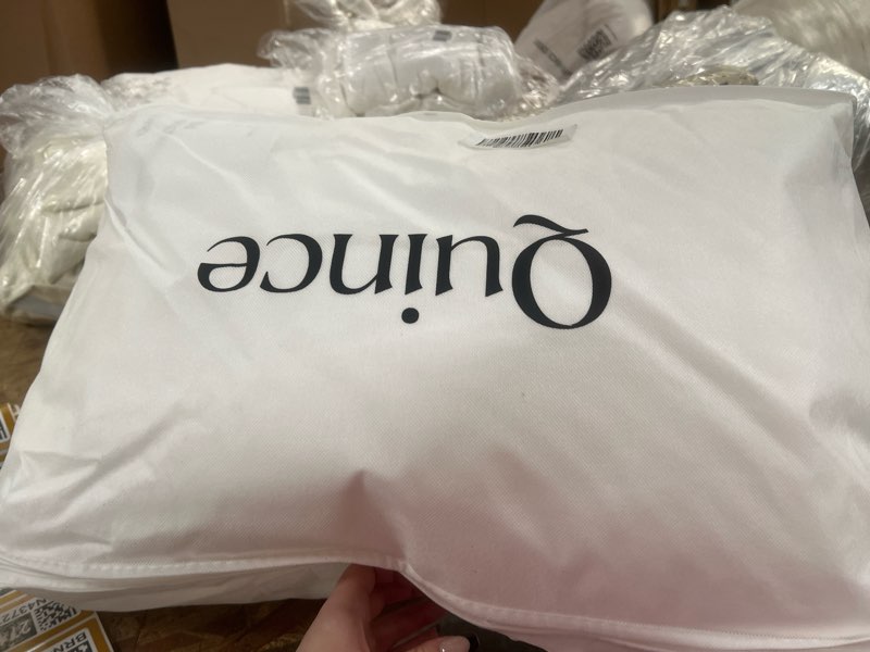 Condition photo showing New/Like New for luxe goose down pillow, standard, medium/firm