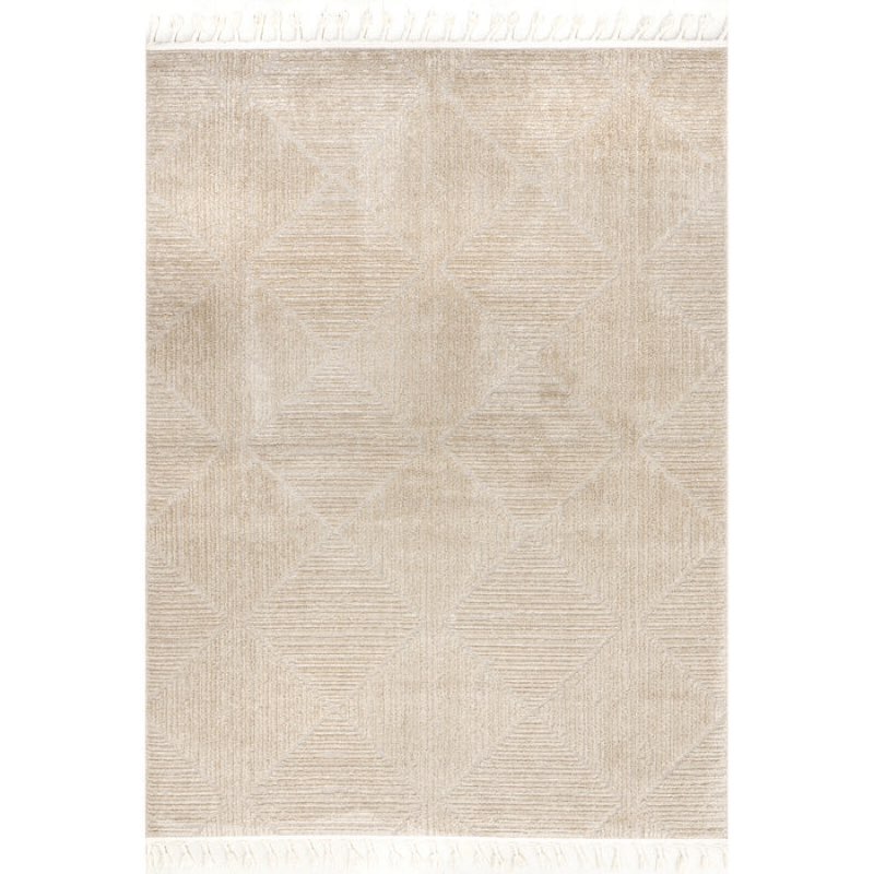 Kerry Textured Geometric Tasseled Area Rug 3’x5”