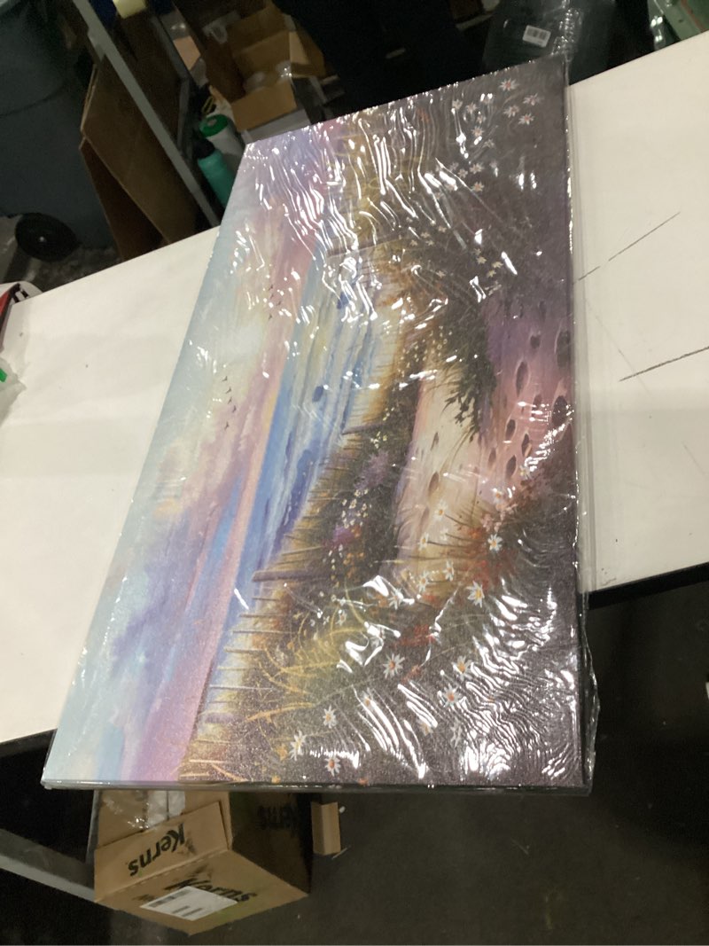 Condition photo showing New/Like New for hyidecorart canvas wall art for living room wall decorfor bedroom flower beach scenery wall painting blue ocean pictures artwork office decor modern framed posters home decorations 20"x40" 40"l x 20"w flower beach ocean scenery