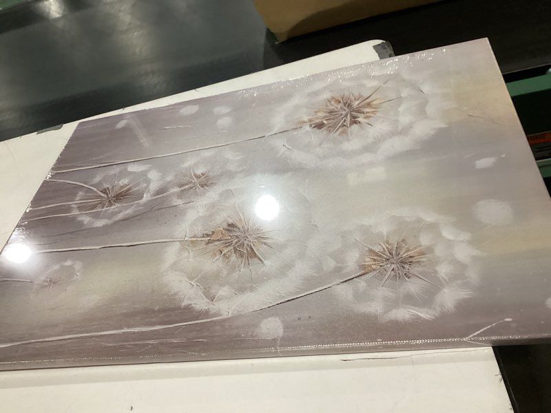 Condition photo showing Good Condition for CXHOSTENT Dandelion Canvas Wall Art White Flower Painting Vintage Farm Floral Picture Prints for Modern Rustic Farmhouse Kitchen Decor (Dandelion-3, 16.00"x24.00")