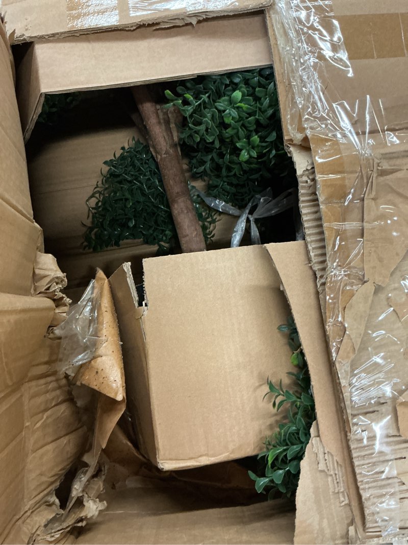 Condition photo showing Good Condition for Two 66 Inch Artificial Boxwood Triple Ball Topiary Trees Potted UV Rated 5 and a Half Foot Tall