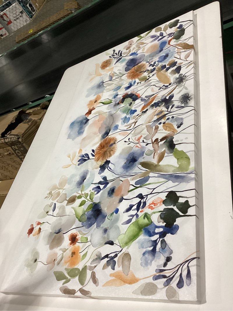 Condition photo showing Good Condition for VEAEE Flowers Canvas Wall Art Wildflowers Canvas Pictures Rustic Botanical Artwork Abstract Watercolor Landscape Painting Artwork for Home Living Room Bedroom Kitchen Office Wall Decor 20"x40" Colorful Botanical Wrapped Canvas 40"L x 20"W