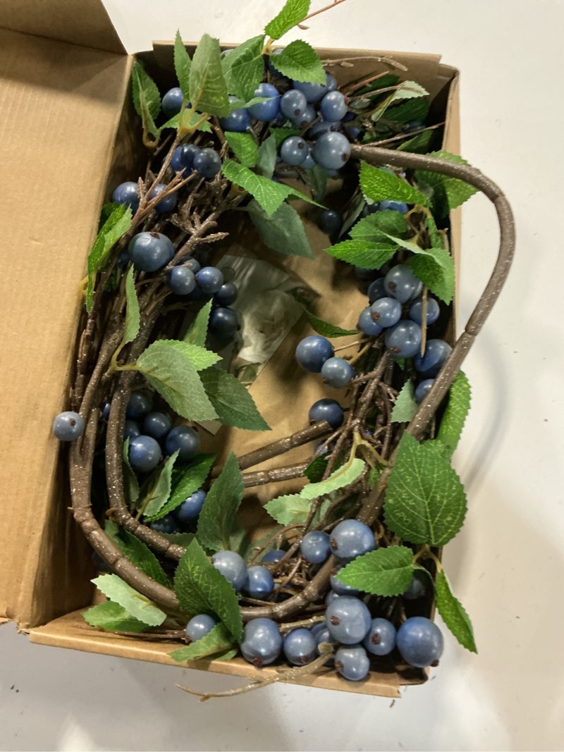 Condition photo showing Good Condition for 4 pcs 38.2inch artificial blueberries stem with green leaves, artificial stems blueberry picks fruit fake silk flowers for centerpieces farmhouse holiday party wedding decor (blue) 38.2 inch blue 4 pcs