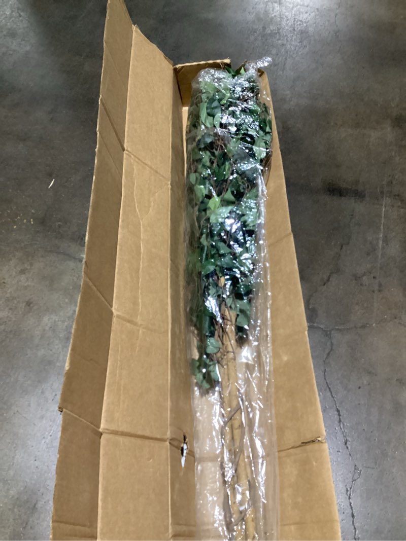 Condition photo showing Good Condition for Nearly Natural 6ft. Triple Trunk Ficus Artificial Tree with Natural Trunks in Handmade Natural Jute and Cotton Basket Planter