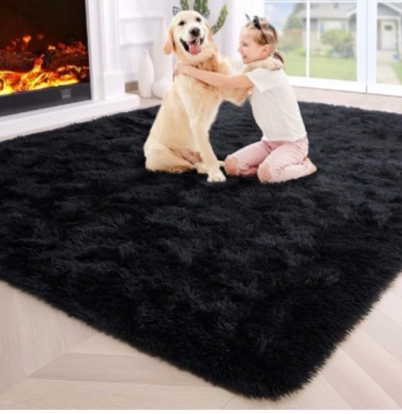 noahas fluffy black 4x6 area rugs for bedroom living room,thick shag throw floor carpet,soft shaggy bedside non-slip plush dorm nursery kids rug