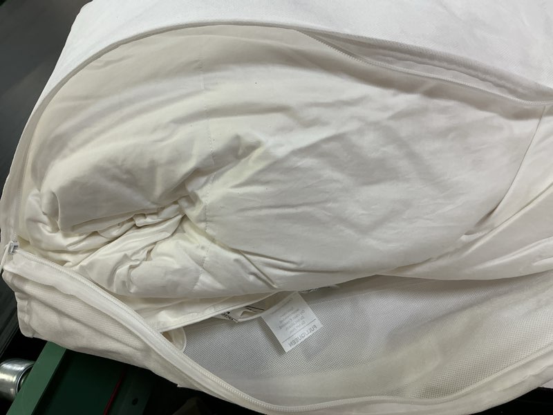 Condition photo showing As Is for luxe goose down duvet insert white/full queen