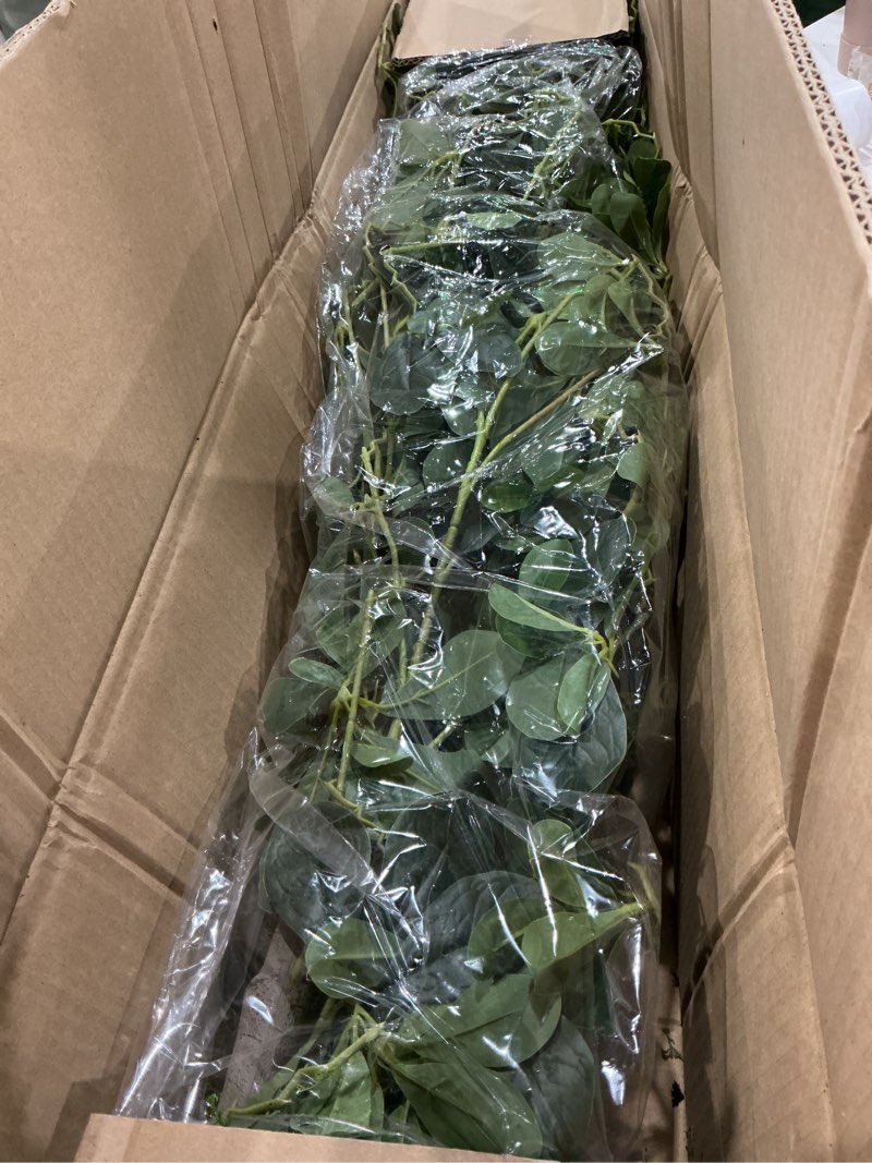 Condition photo showing New/Like New for 7ft tall artificial black olive tree with 1260 lifelike leaves, tall fake greenery olive silk plants artificial olive tree indoors in pots, faux olive tree for living room office decor 1 7ft