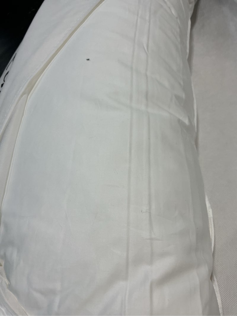 Condition photo showing Good Condition for premium down alternative pillow king medium 
