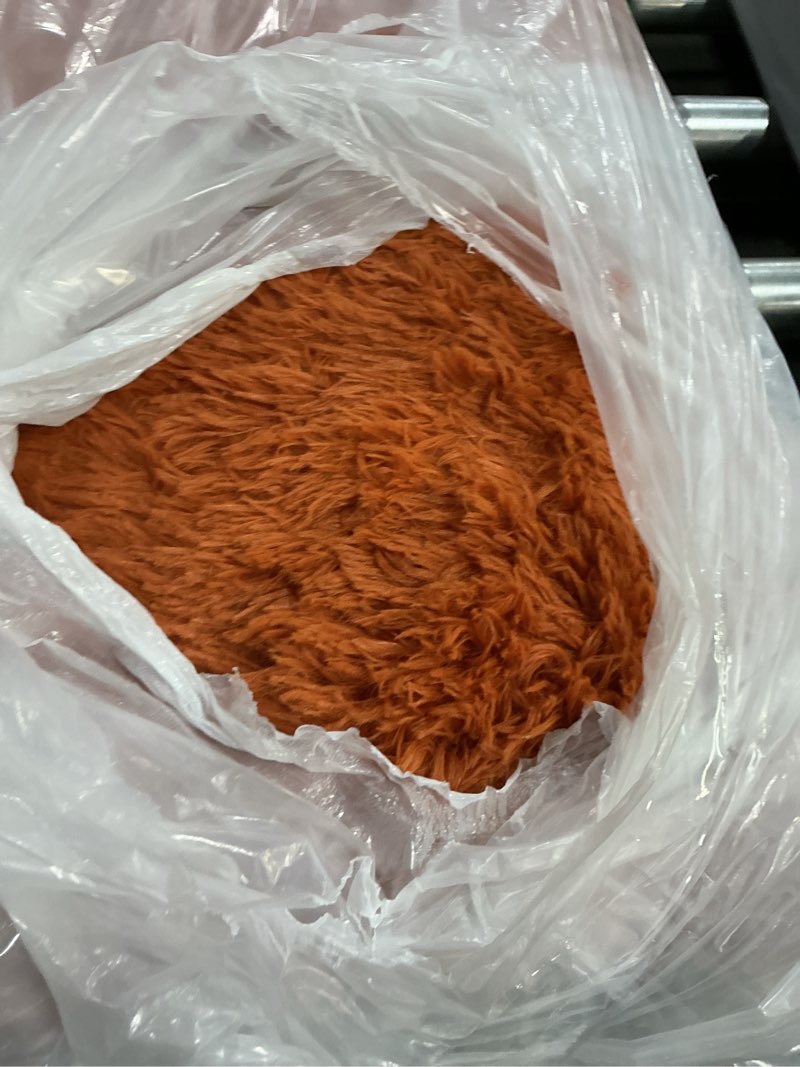 Condition photo showing As Is for amdrebio burnt orange area rugs for living room bedroom, 6x9 shaggy furry fuzzy fluffy rug for kids room decor aesthetic, large cute plush shag dark orange carpet for nursery dorm classroom playroom 6' x 9' (rectangular) burnt orange