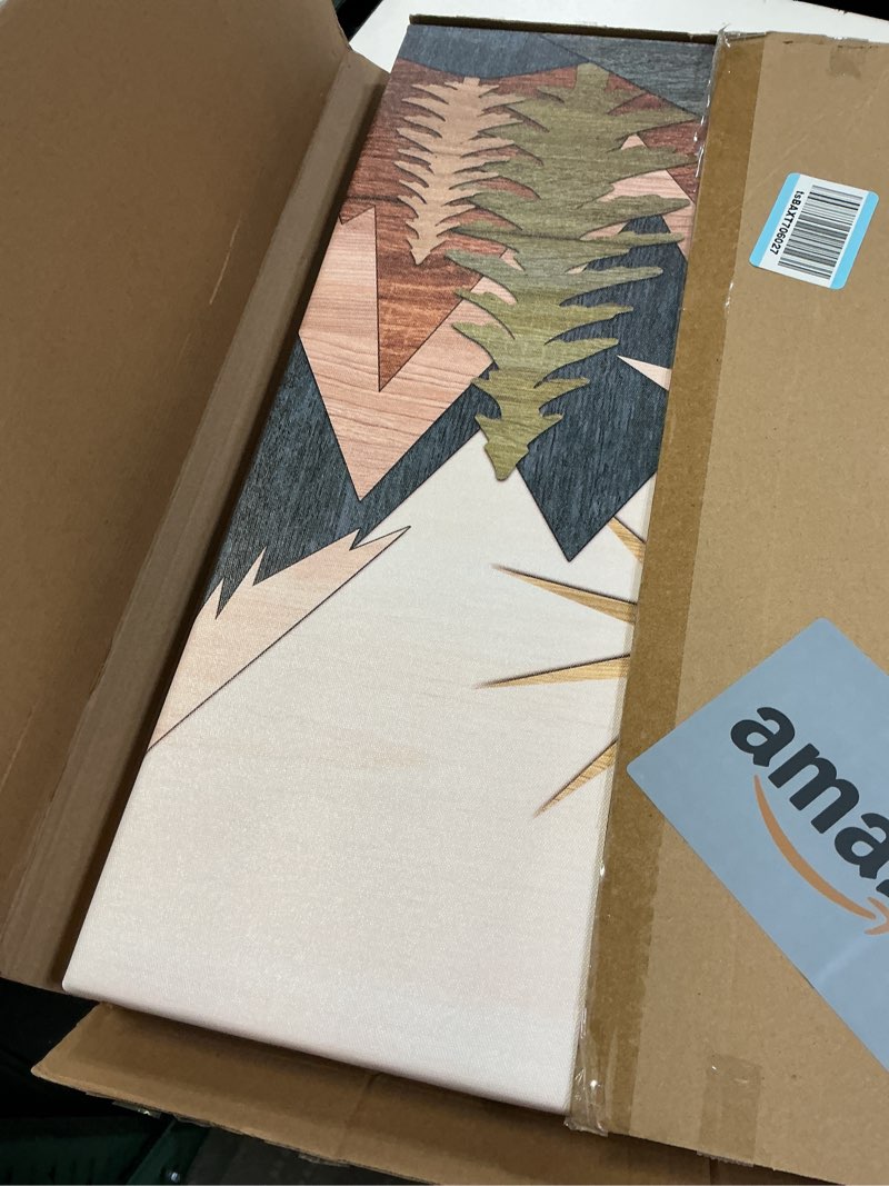 Condition photo showing Good Condition for 3Pcs Framed Boho Mountain Wall Art Southwest Canvas Posters Prints Mid Century Modern Pictures Forest Painting Farmhouse Wall Decor for Living Room Bedroom 16x24in Southwest Canvas 24"L x 16"W