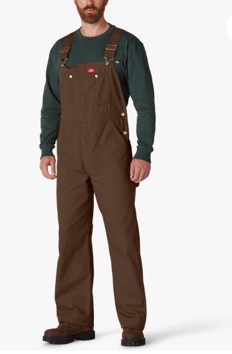 Carhartt Men's R01 Relaxed Fit Duck Bib Overall