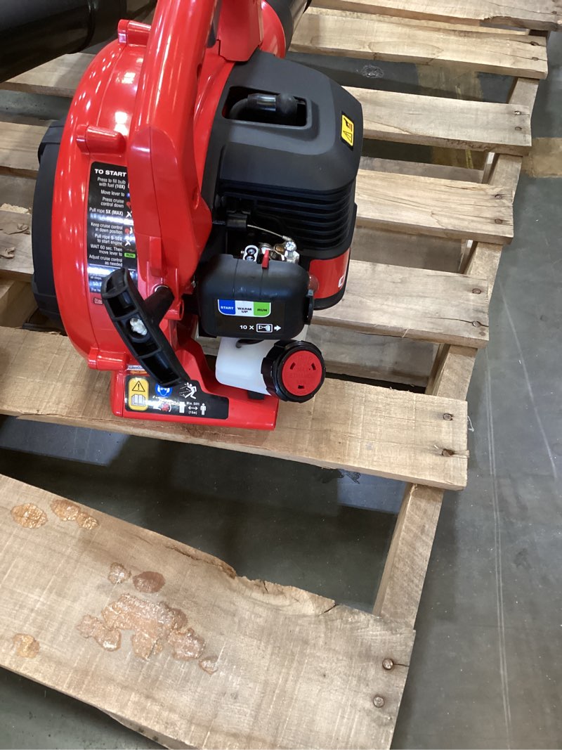 Condition photo showing Good Condition for craftsman leaf blower takes gas(verified working condition)