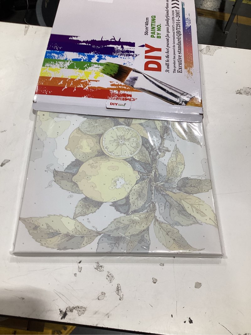 Condition photo showing New/Like New for fresh lemons paint by numbers kit for adults - diy detailed watercolor-style of lemons and leaves painting on canvas 16x20in, framed acrylic paint set for beginners, art for home decoration or gifts