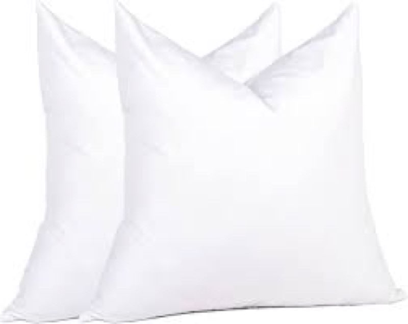 puredown® Natural Feather Down Throw Pillow Inserts 20 x 20 (Set of 2, White), Décor Pillow for Couc