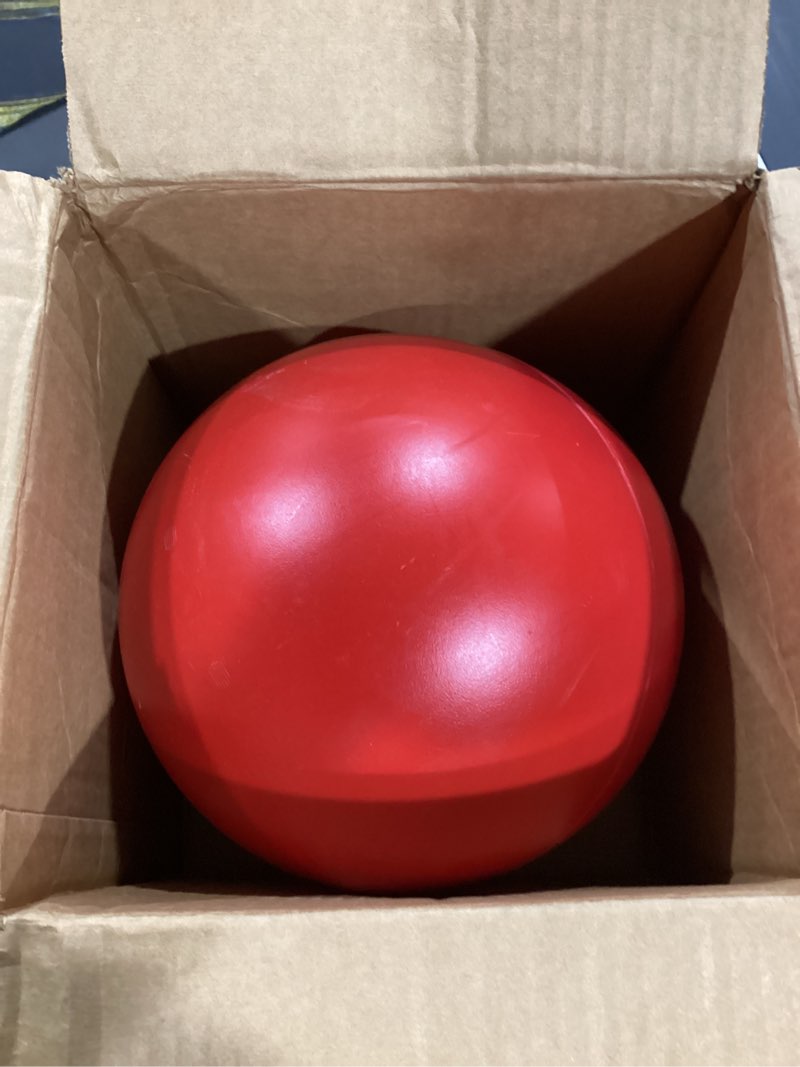 doggie dooley virtually indestructible best ball for dogs, 10-inch, red red large (10 inch) (pack of 1)