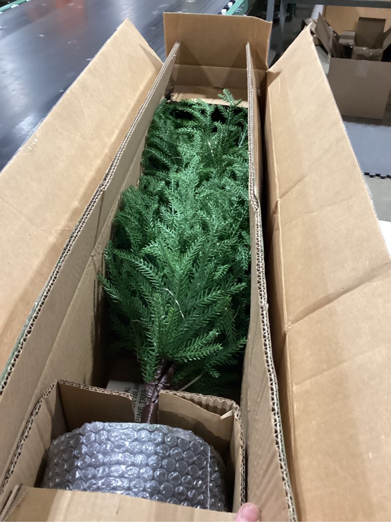 Condition photo showing As Is for 4FT Pre-Lit Artificial Norfolk Pine Christmas Tree – Realistic Potted Tree with 100 LED Lights & 8-Function Battery Box, Pre-Assembled Faux Holiday Décor for Indoor Use