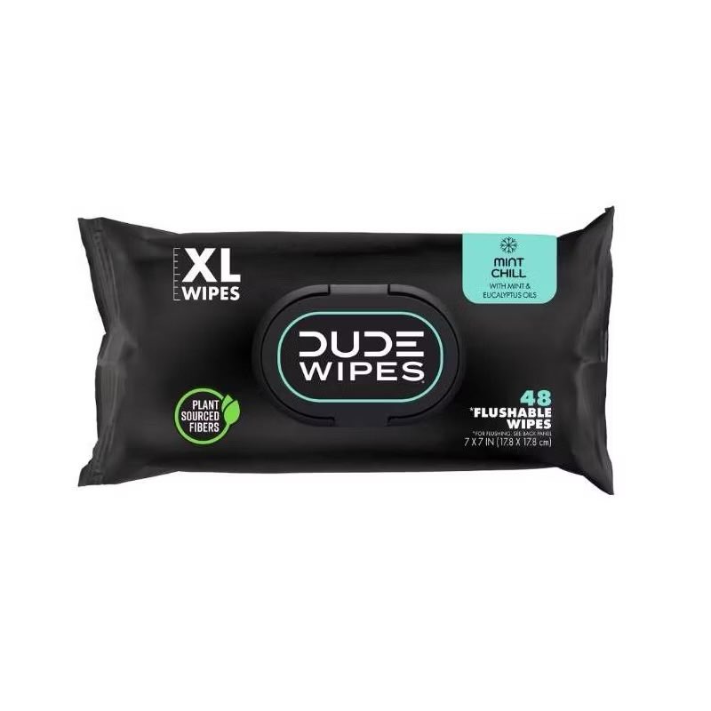 dude wipes mint chill flushable personal wipes - 48ct: whole body use, contains aloe, contains vitamin e, dye-free(6 pack)