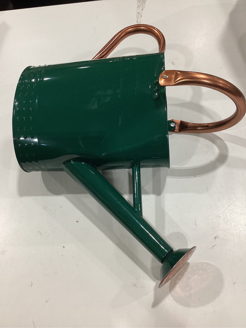 Condition photo showing Good Condition for 1 gallon metal watering can with removable spout, nice galvanized steel water can with embossed design for indoor and outdoor plants green