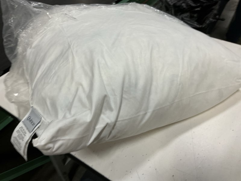 Condition photo showing As Is for (incomplete only one piece)  premium feather pillow insert (set of 2), 26x26, no color