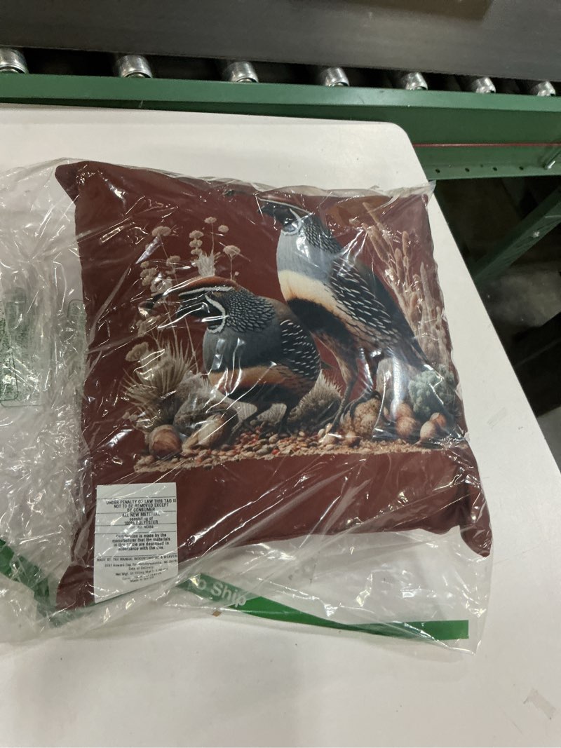 Condition photo showing Good Condition for Birds Series. Gambles Quail. Throw Pillow 18x18
