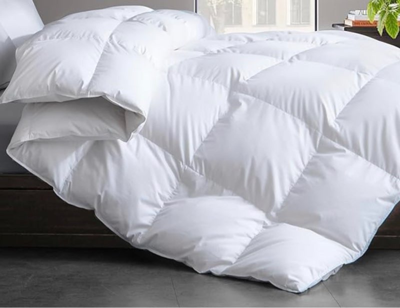 quince premium down comforter, twin, down all season/white set 1