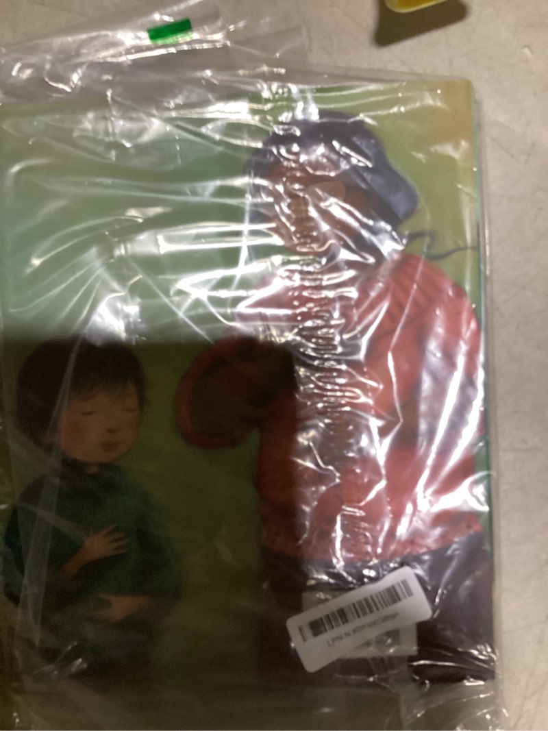 Not like everyday book