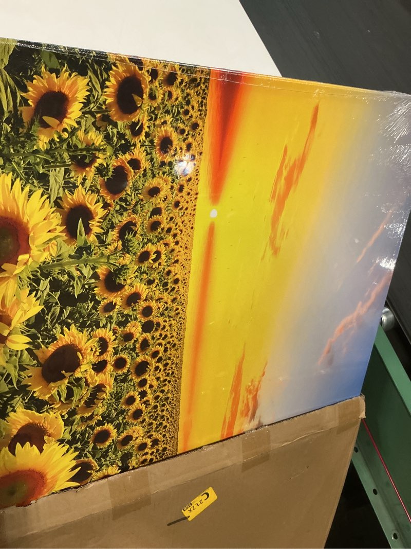 Condition photo showing Good Condition for Sea Charm Sunflower Canvas Wall Art Warm Color Sunrise in The Field Landscape Painting Picture Print Art for Living Room Decor,Framed and Ready to Hang