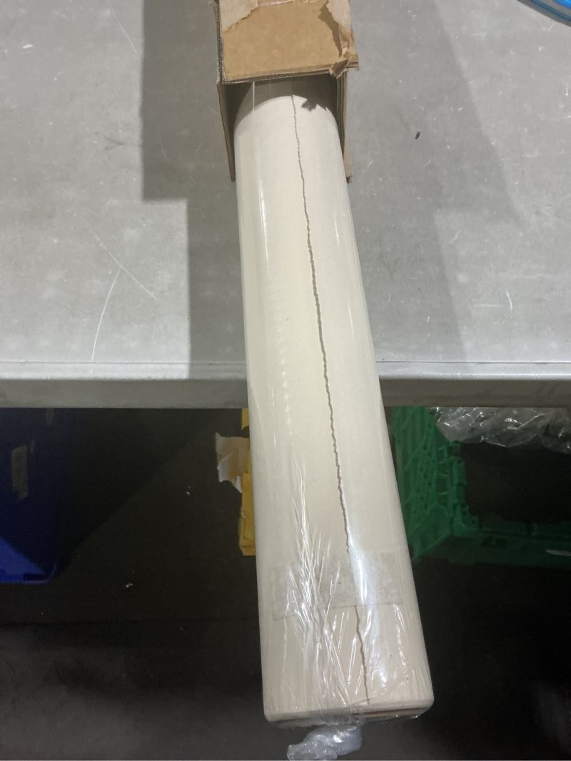 Condition photo showing Good Condition for kate seamless paper backdrop for photography beige cream backdrop paper (53''x16.4' ivorine) 53'' x 16.4' ivorine