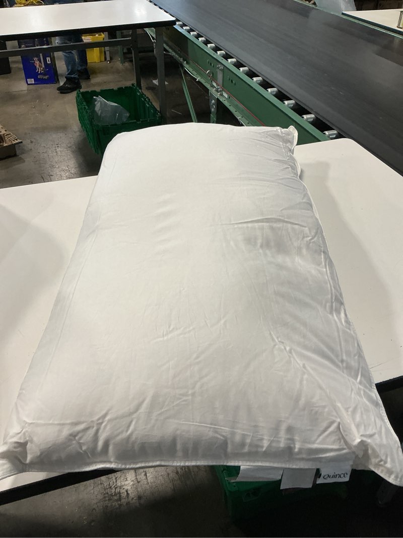 Condition photo showing Good Condition for luxe goose down pillow, king, medium/firm