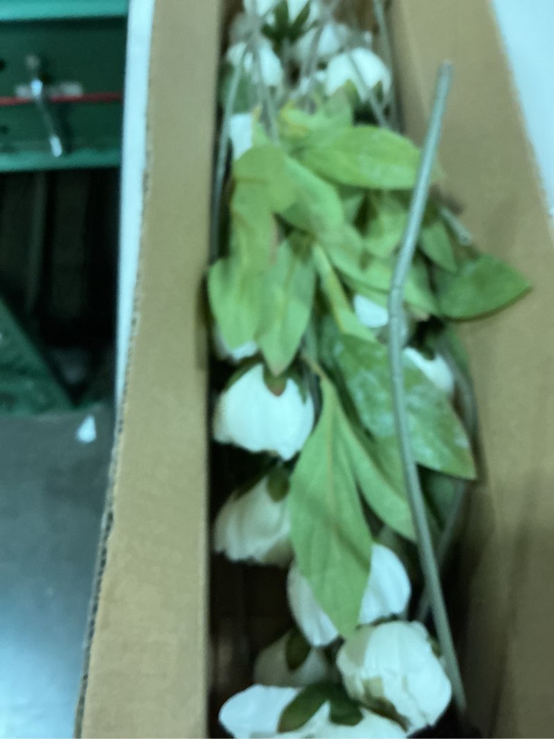 Condition photo showing Good Condition for vierena 6 pcs faux silk peony artificial flowers for vase -27", bulk fake peonies branches with stems for diy bouquet centerpieces wedding fillers arrangements shower decorations (cream) 6 cream