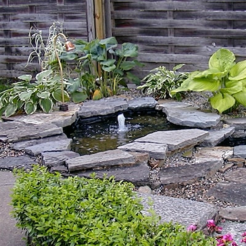 Condition photo showing New/Like New for shape products 4.83-ft l x 5.91-ft w black hdpe fish pond liner ( 125-gallon )
