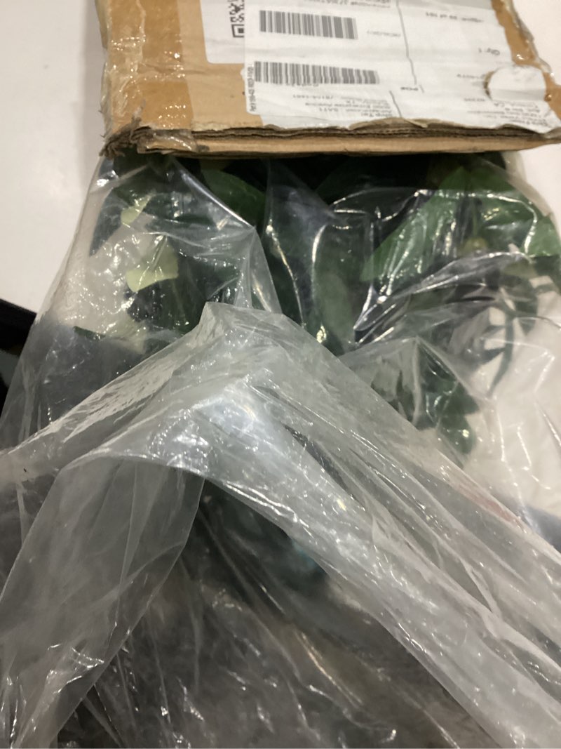 Condition photo showing Good Condition for artificial olive tree, 6ft tall faux olive trees 72in outdoor fake potted silk plant with trunk and realistic 648 leaves and 24 fruits for modern office home decor indoor?1pack? 1pack 6ft