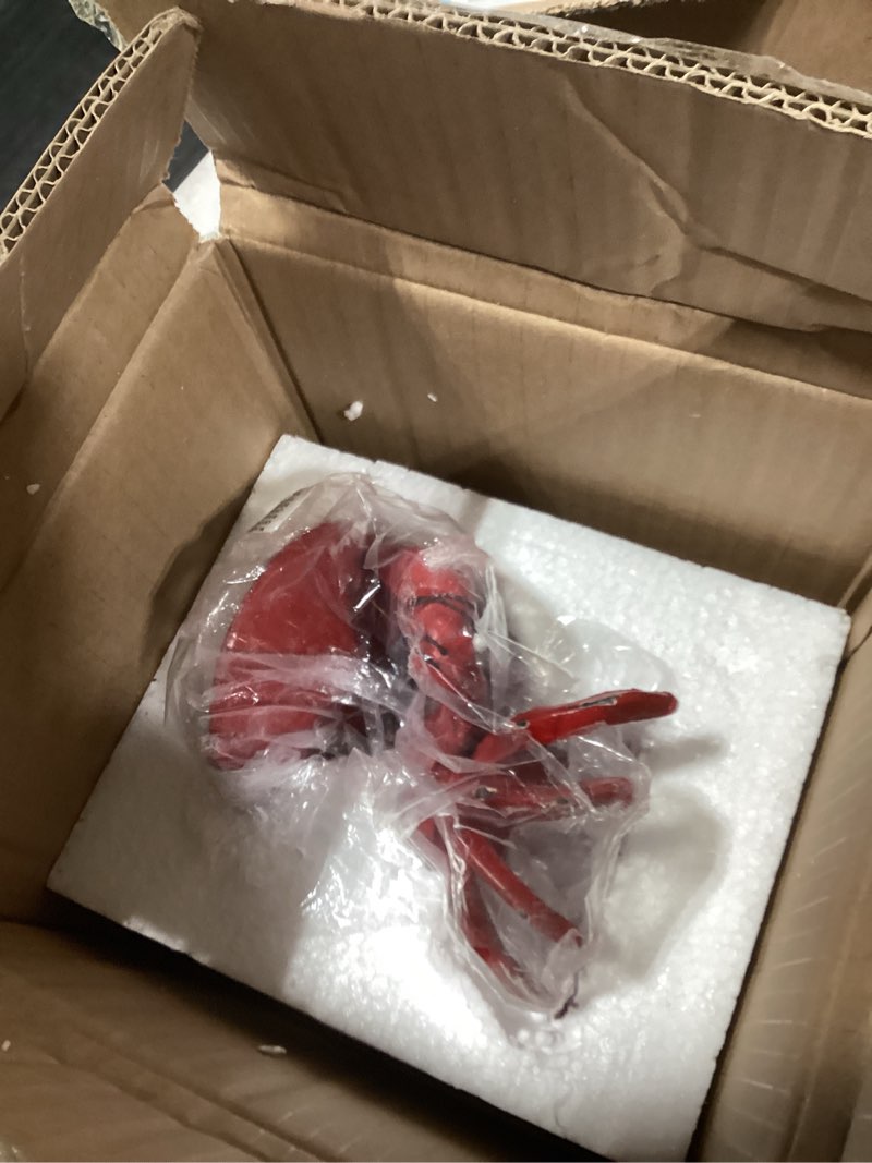 Condition photo showing New/Like New for distressed red decorative cast iron crab shaped dish
