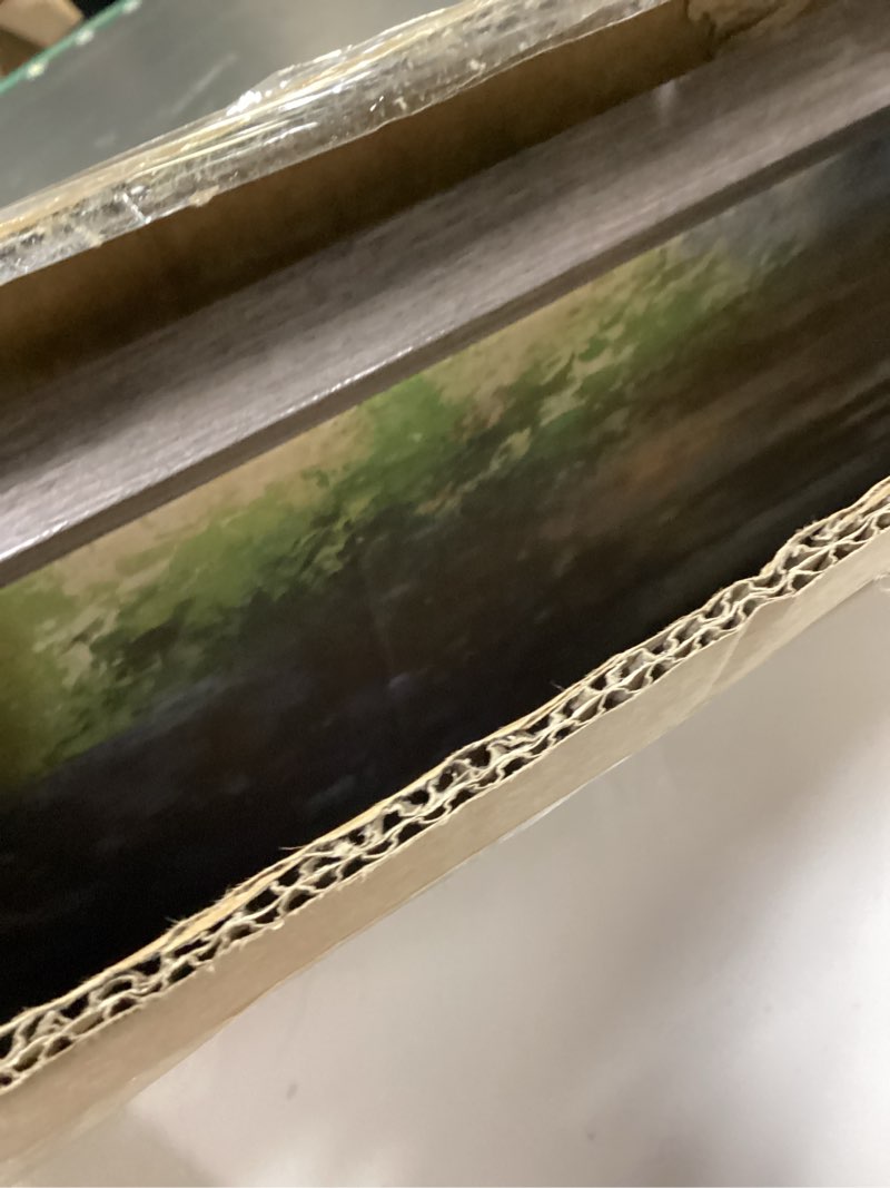 Condition photo showing Good Condition for Afternoon Light Premium Gallery Wrapped Canvas - Ready to Hang