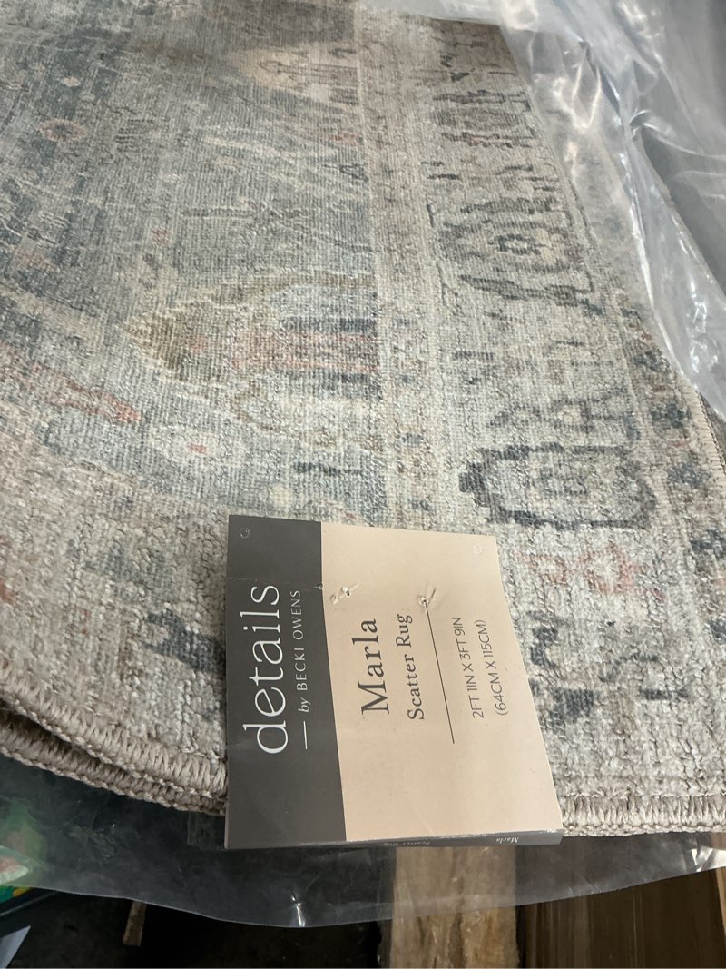 Condition photo showing Good Condition for becki owens marlene area rug bomn-2306 2 ft 1 in x 3 ft 9 in