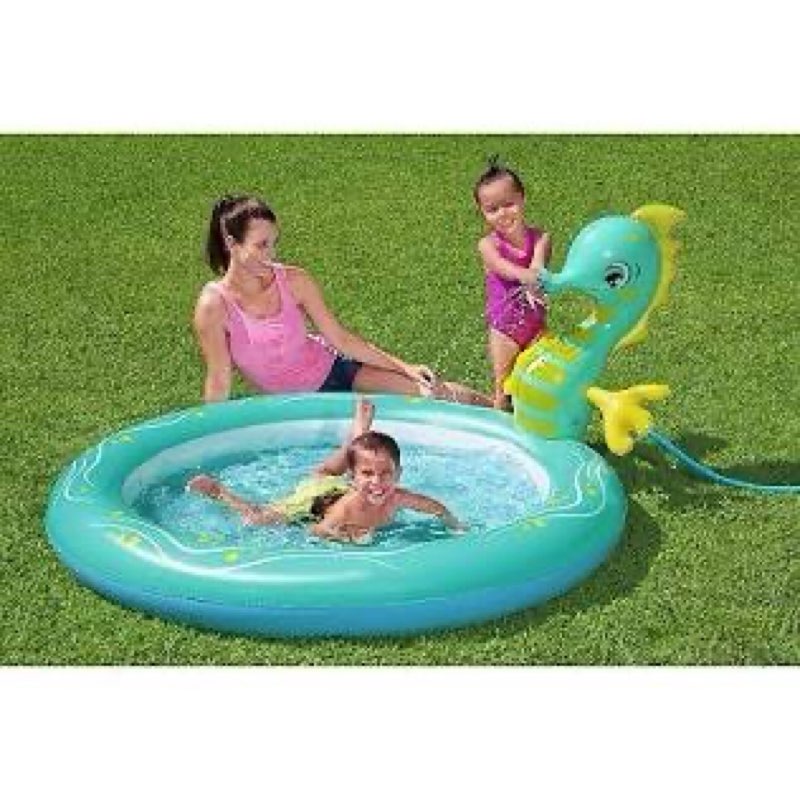 (Similar)inflatable pool kiddy seahorse