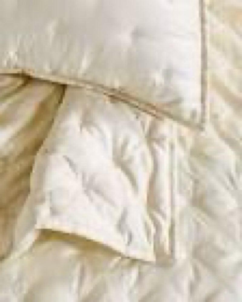 quince bamboo dream quilt set, full/queen, ivory 2pcs