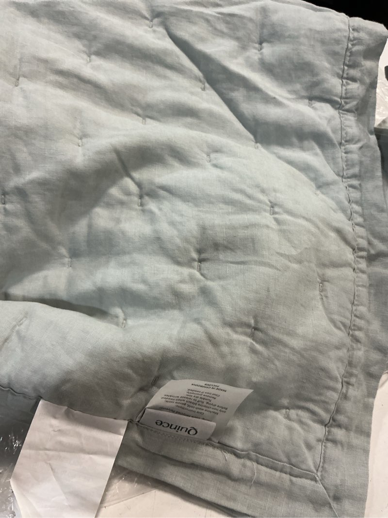 Condition photo showing Good Condition for quince  toddler quilt size:50x36