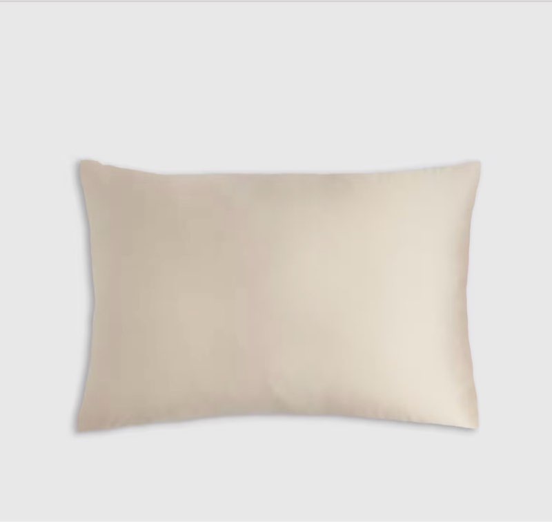 quince 100% mulberry silk pillowcase( 20*26 in) 1 piece) 