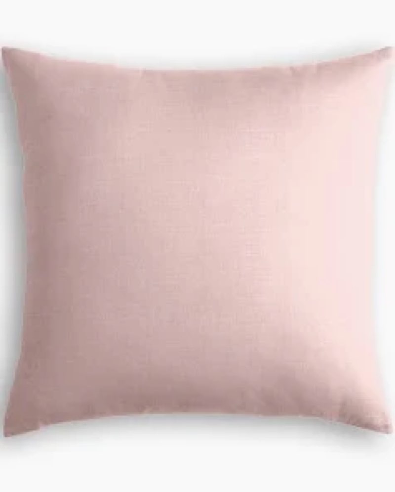 Payson Pillow Cover Color: Blush Pink,  1 pcs Size: 18'X18